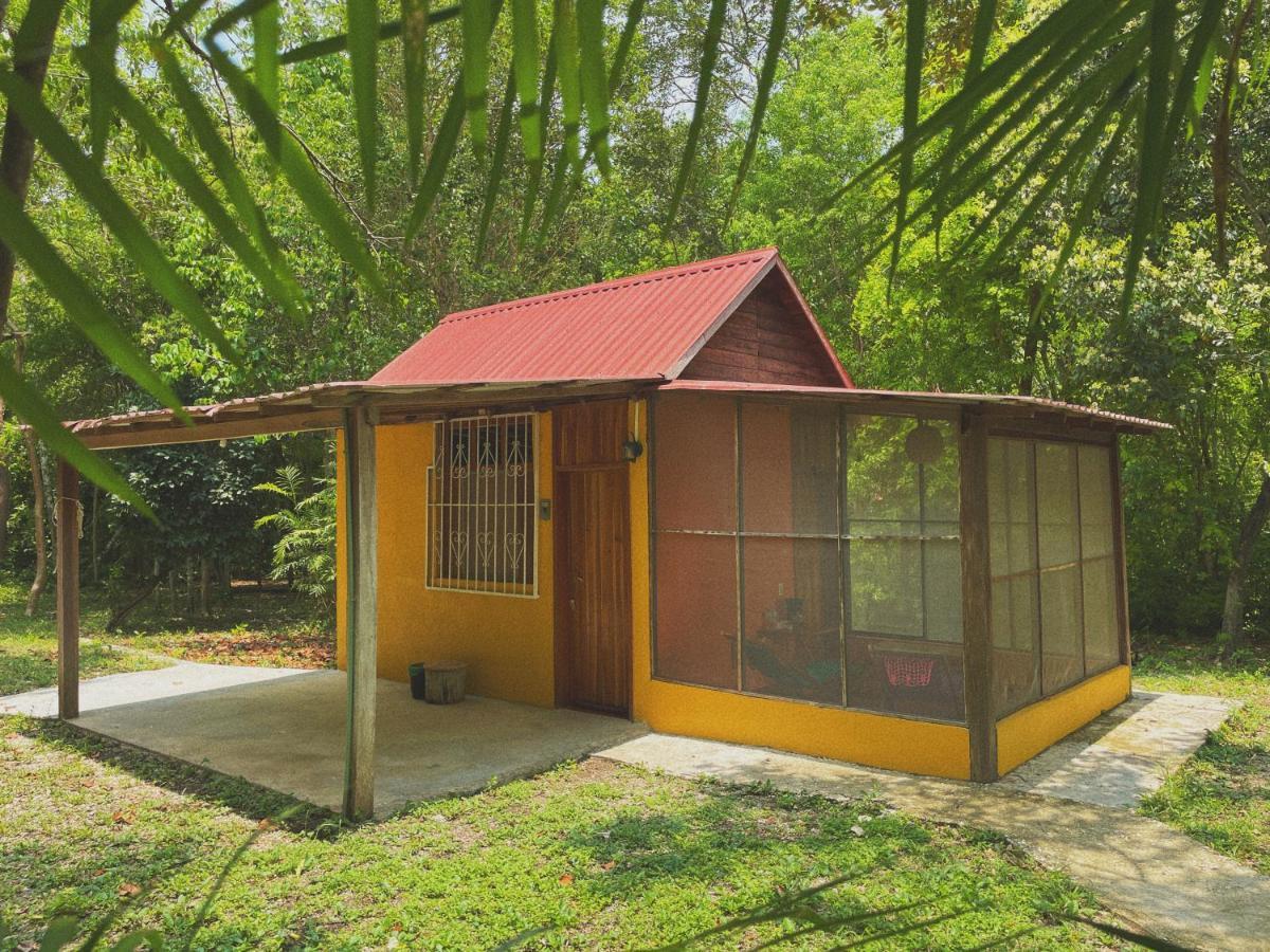 Ecohabitat Bed and Breakfast Xpujil Εξωτερικό φωτογραφία