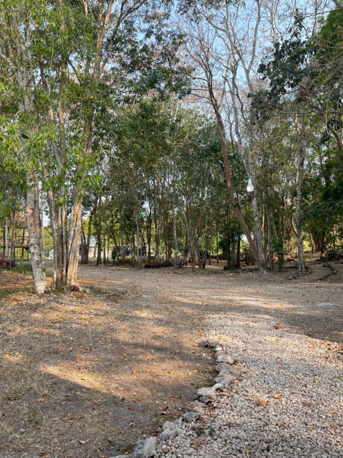 Ecohabitat Bed and Breakfast Xpujil Εξωτερικό φωτογραφία