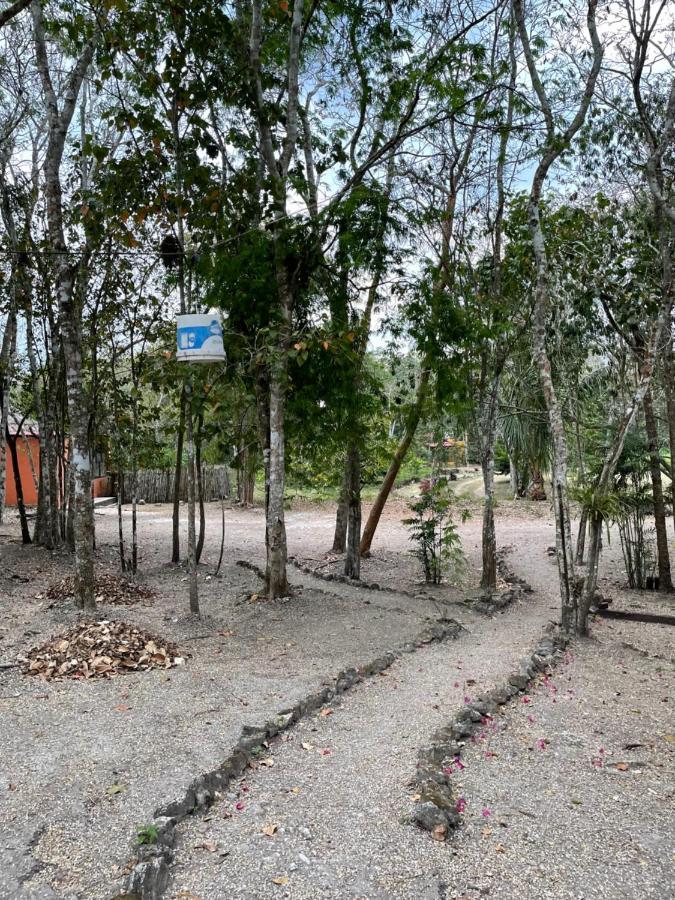 Ecohabitat Bed and Breakfast Xpujil Εξωτερικό φωτογραφία